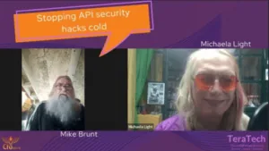 Stopping API secutiry hacks cold